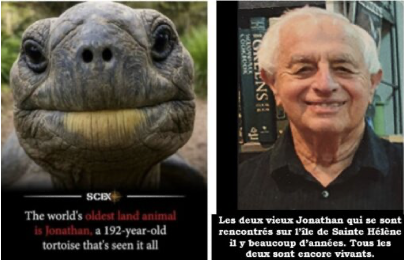 Jonathan, la tortue de Sainte-Hélène, et Jonathan Goldberg côte à côte