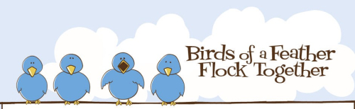 Birds Birds