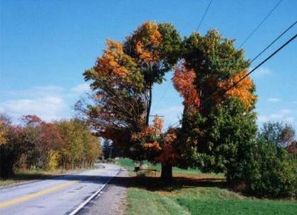 Image014 Image014