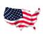 US Flag US Flag
