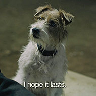 Image005