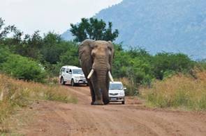 Image001 Image001