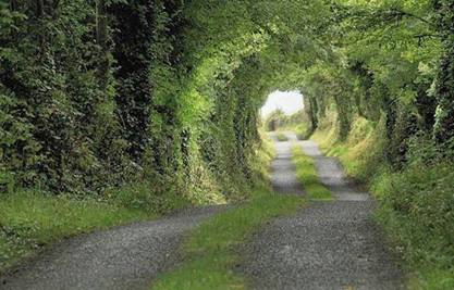 Image001