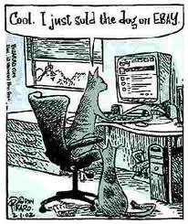 Cat e-bay Cat e-bay