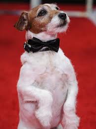 Uggie Uggie