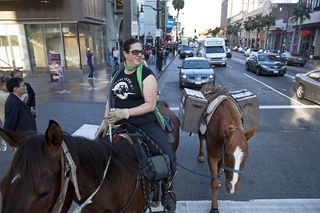 Horse Horse