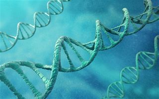 DNA-storage DNA-storage