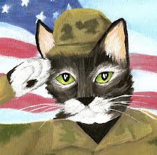 Cat 2 Cat 2