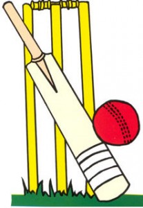 Cricket equipment