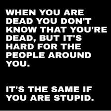 Dead stupid Dead stupid