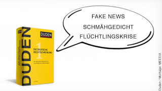 Duden Fake news