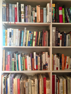 Carmella bookshelf