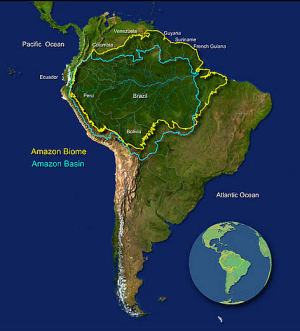 Amazon basin