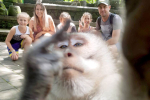 Photobombing