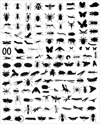 Insects 2 Insects 2