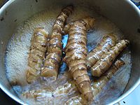 Artichoke Jerusalem Artichoke Jerusalem