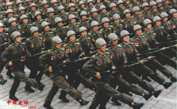 Goose step
