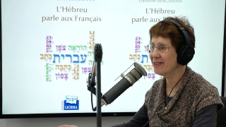 L'Hebreu parle aux Francais