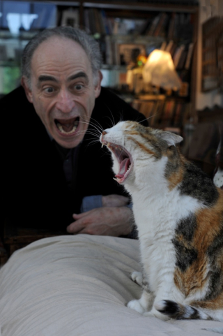 Photo of Denis Hirson with cat 102 megabites ©Adine Sagalyn akg-images