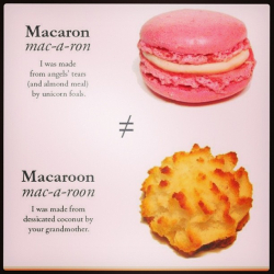 Carmella macaron-v-macaroon