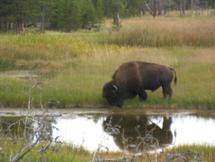 Image021