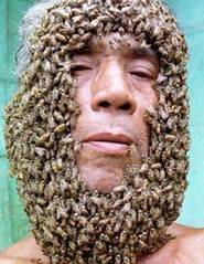 Barbe-abeilles