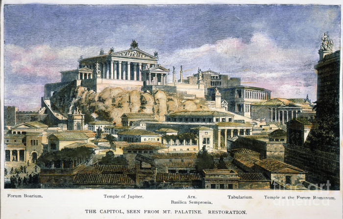 Capitol 8