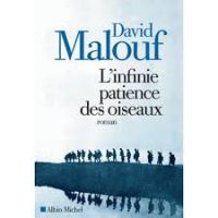 Oisseaux Oisseaux