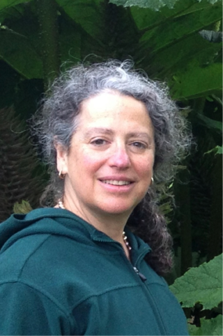 HC Rodsanne Wasserman HC Rodsanne Wasserman