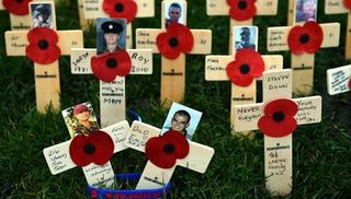 Crosses and poppies