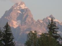 Image019