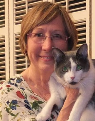 Cindy's cat