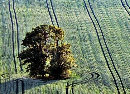Image009 Image009