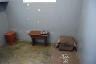 MANela cell