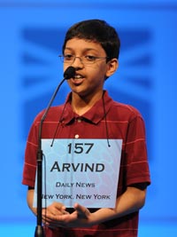 Bee arvind