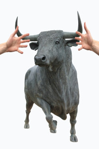 Bull by the horns