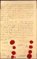 Traite Hidalgo