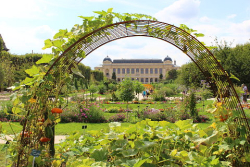 Pascale jardindeplantes