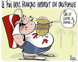 Foie gras 2