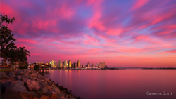 Pink San Diego