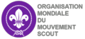 Scout